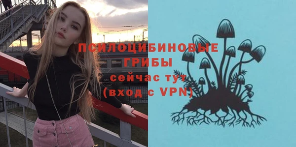 сатива Алзамай