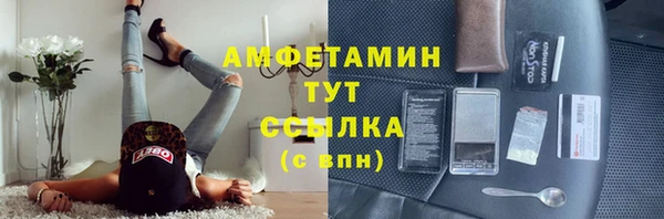 сатива Алзамай
