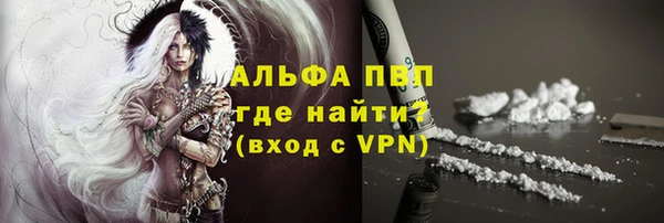 гидра Алексин