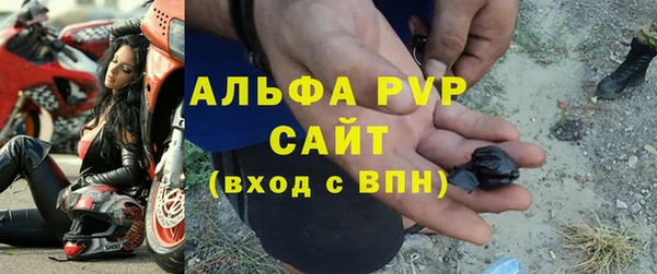 гидра Алексин