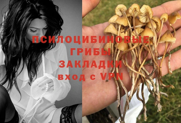 гидра Алексин