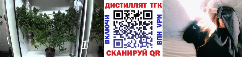 ТГК THC oil  Аргун 